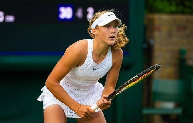 的新星