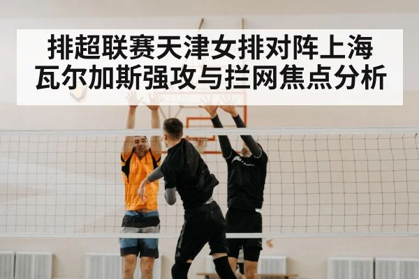 volleyball block net